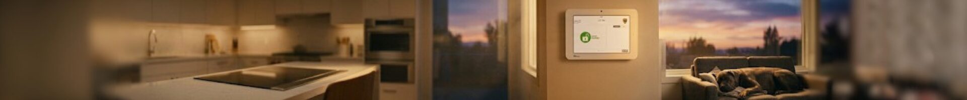 Home Security for Pet Owners - Your Dog Won't Protect You