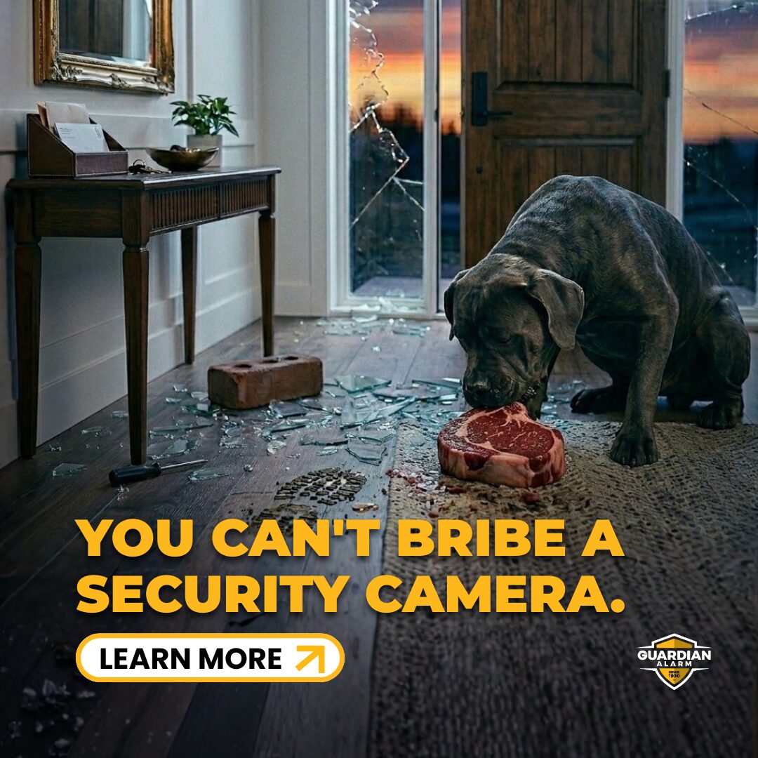 Security Pet Inseranse Home Security for Pet Owners - Your Dog Won't Protect You