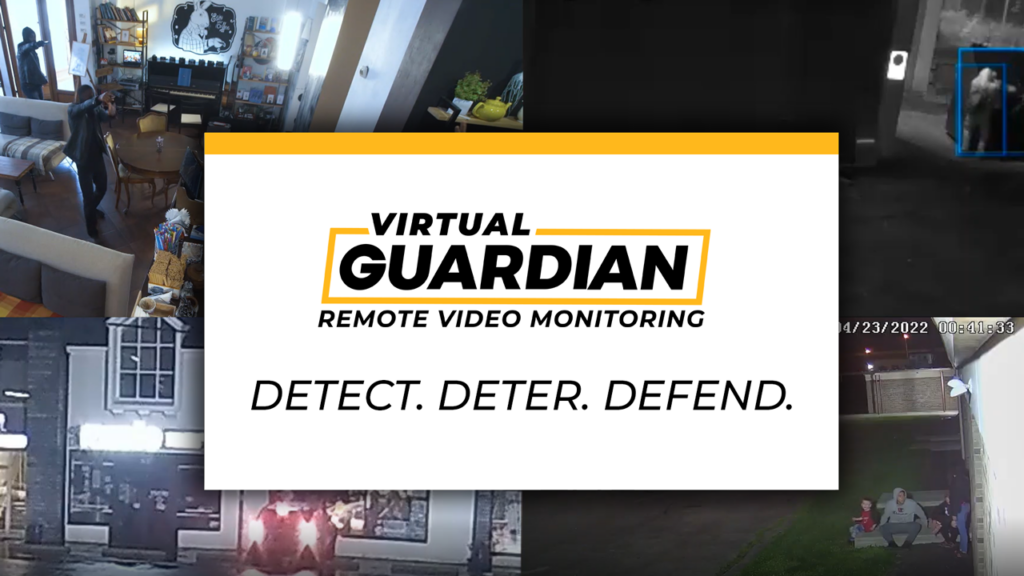Virtual Guardian Play Screen